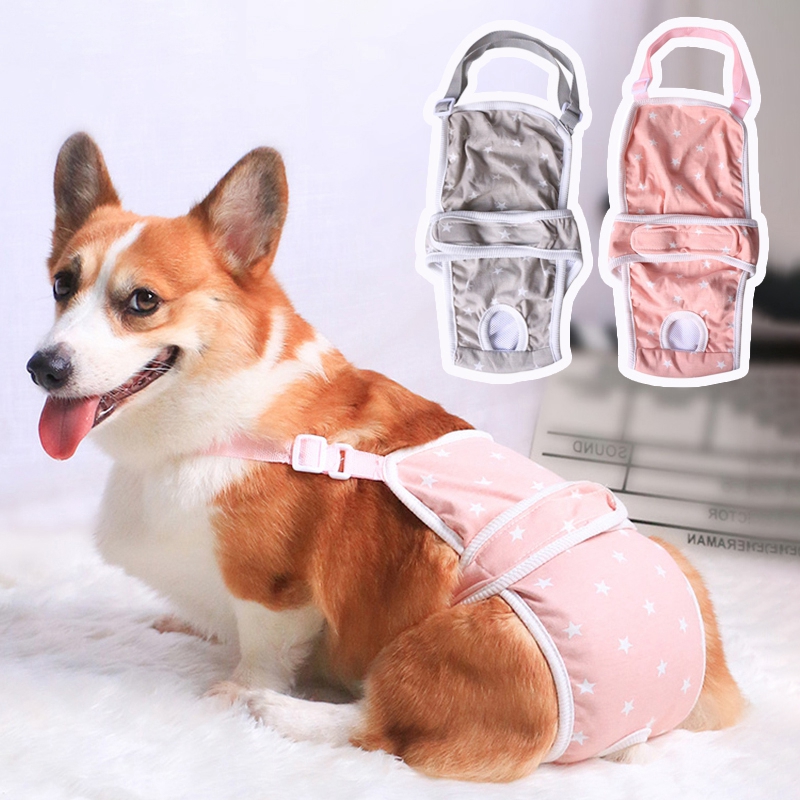 Dogs Diapers Physiological Pants Panties Anti-harassment Underwear Safety for Female Puppy Pants Pet Product Dog Training Pads