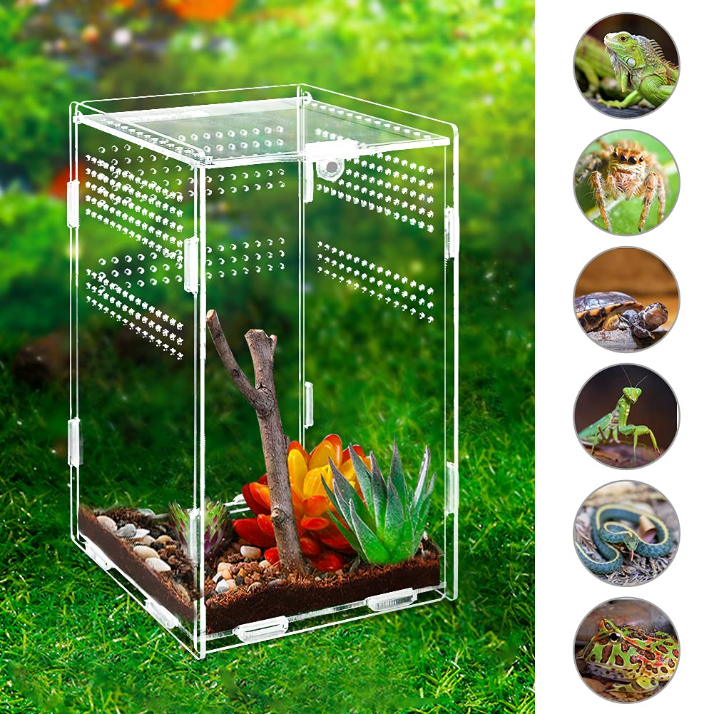 Reptile Habitat Terrarium Breeding Box for Spider Scorpion Sling Isopods Acrylic Case Nano Arboreal Tarantula Enclosure