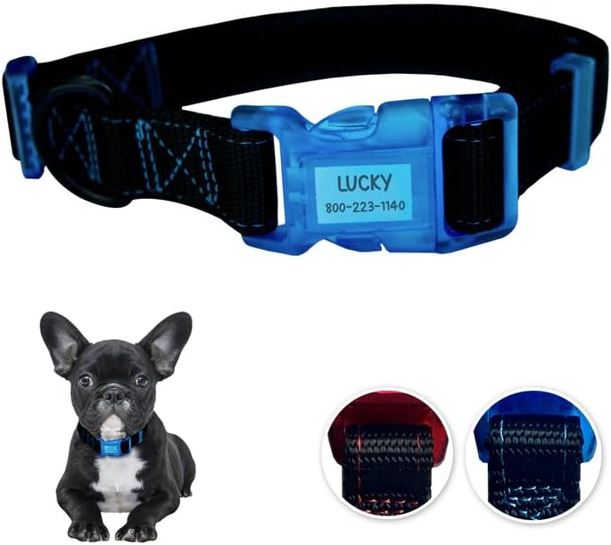 Sporn Dog ID Collar for Small Dogs, Black & Blue Small Dog Collar Made of Nylon with Contrasting Colored Stitiching, Dog Collars for Small Dogs Includes 3 Pcs Prefolded Waterproof Paper