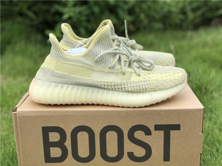 2019 Adidas Yeezy Boost 350 V2 Antlia (AYZN004)